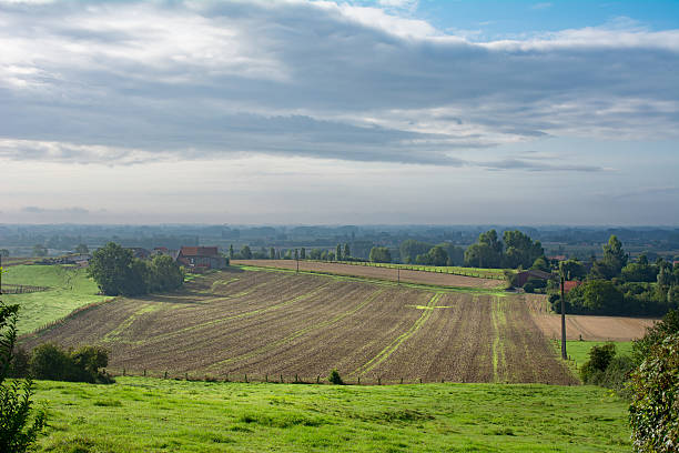 Sunny spels on sloping landscape northern France French Belgium border near lille. tranquil look from raven hill (ravensberg) on former wold war two territory territorial animal stock pictures, royalty-free photos & images