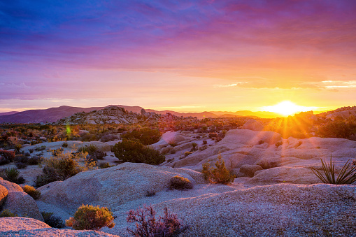Sunrise at Joshua Tree National Park. California, USA. October 2016