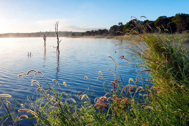 Sunrise at Lake Samsonvale, Queensland stock photo