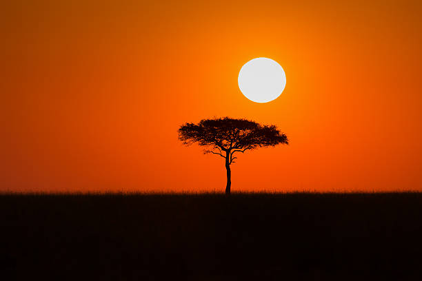 Sunrise in Masai Mara, Kenya stock photo