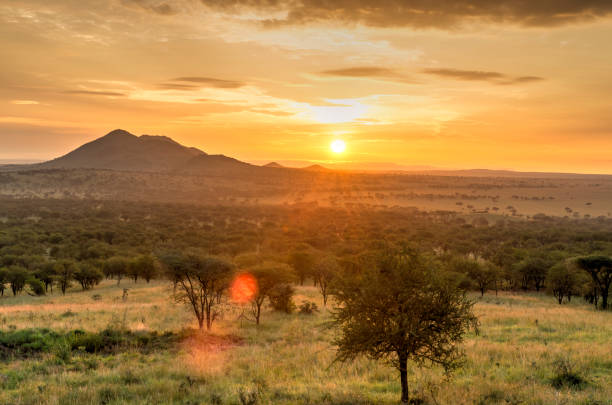 Sunrise in Serengeti national park, landscape with sunlight effect, Africa. stock photo