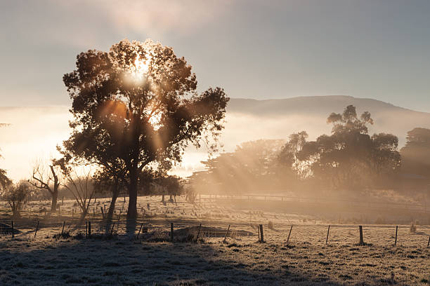 Sunrise In The Yarra Valley On a Winter's Day stock photo