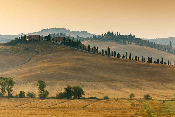 Sunrise in Tuscany stock photo