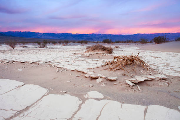 Sunrise Over Death Valley Islands of dry plants and scorched earth in Death Valley National Park, California. A purple winder sunrise over mountains in a desert. great basin stock pictures, royalty-free photos & images