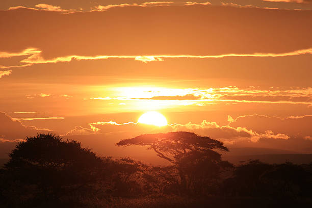 Sunrise over Serengeti stock photo