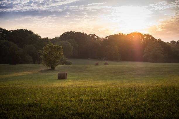 Sunrise over Tennessee Field stock photo