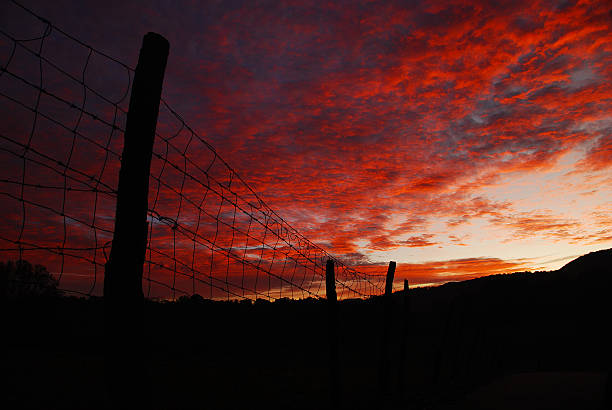 Sunrise sky stock photo