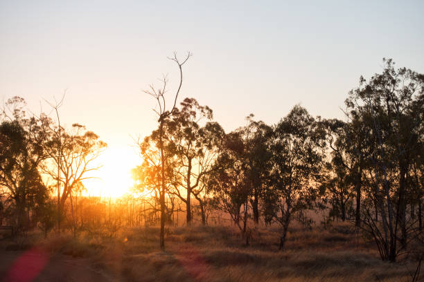 Sunrise view causing lens flare at Porcupine Gorge in Queensland stock photo