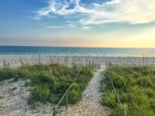 zonsondergang en een pad op het strand - gulf coast states stockfoto's en -beelden