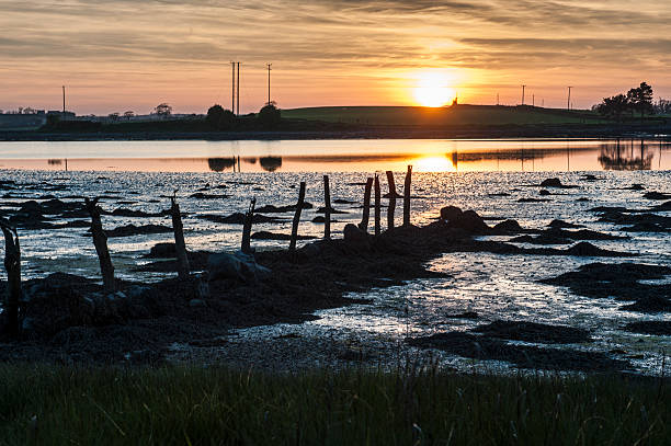 Sunset at low tide Sunset at low tide on Strangford Lough, County Down, Northern Ireland strangford lough stock pictures, royalty-free photos & images