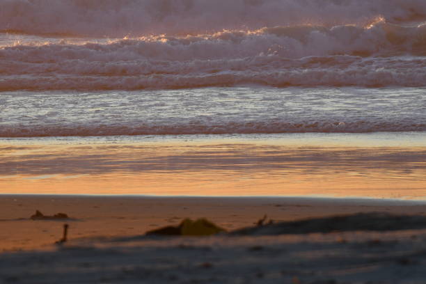 Sunset Color on Ocean Waves with low tide Redondo Beach steven harrie stock pictures, royalty-free photos & images