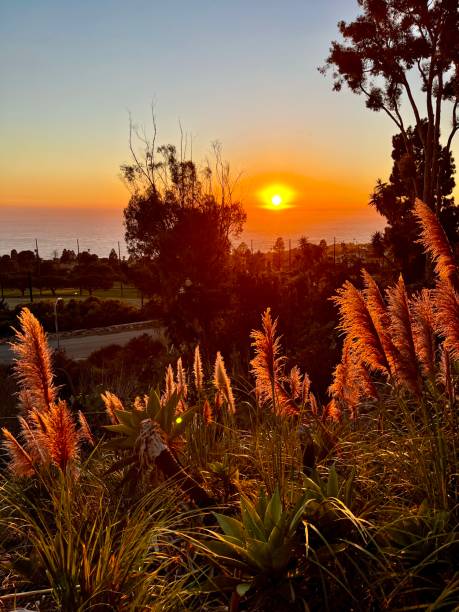 Sunset in California- Rancho Palos Verdes Area stock photo