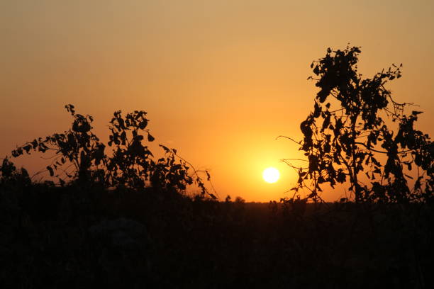 Sunset in Ethiopia stock photo