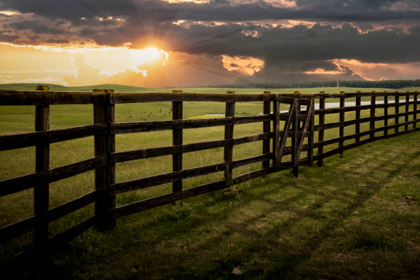 Farm Fence Stock Photos, Pictures & Royalty-Free Images - iStock