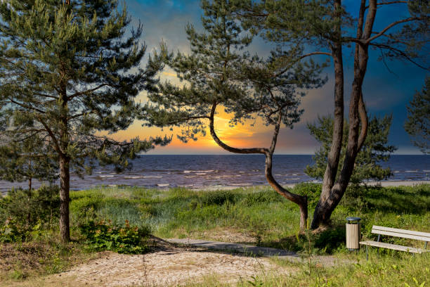 Sunset in my Jurmala Latvia Perfect place for contemplation by the sea Jurmala latvia stock pictures, royalty-free photos & images