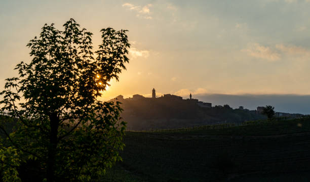Sunset in the Barolo wine region stock photo