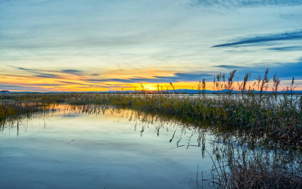 Sunset in the calm waters of the Albufera de Valencia, Spain. Sunset in the calm waters of the Albufera de Valencia, Spain. albufera stock pictures, royalty-free photos & images