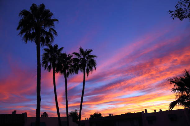 Sunset in Tucson stock photo