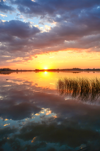 Sunset lake with reeds in rural Minnesota, USA North Turtle Lake