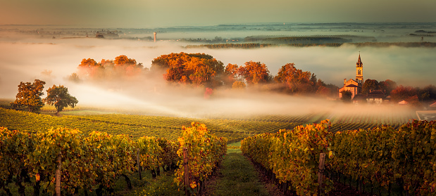 Burgundy is a historical region in east-central France. It's famous for its Burgundy wines as well as pinot noirs and Chardonnay, Chablis and Beaujolais.