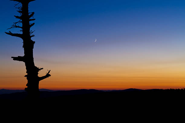 Sunset moon stock photo