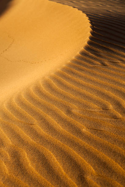Sunset on sand dunes in Dubai, United Arab Emirates stock photo