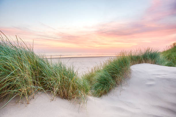 Sunset over a very tranquil beach Sunset over a very tranquil beach in Egmond aan Zee, the Netherlands. sand dune stock pictures, royalty-free photos & images