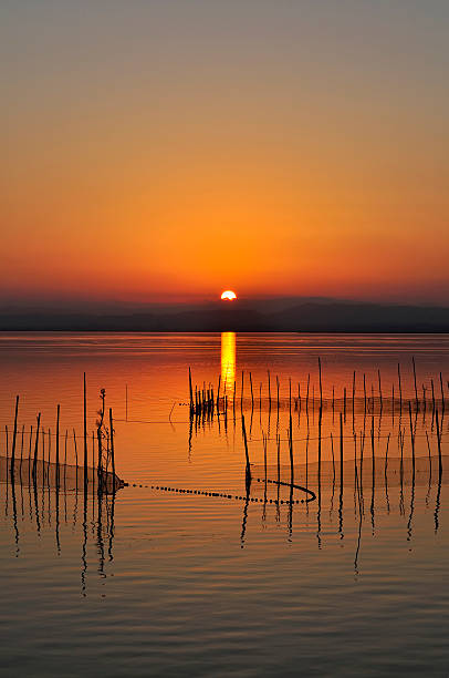 Sunset Sunset on the Albufera of Valencia, Spain albufera stock pictures, royalty-free photos & images