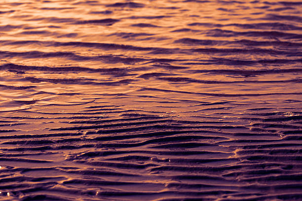 sunset shoreline stock photo