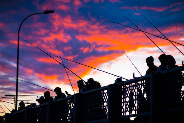 Sunset silhouette of fishermen on Galata bridge,Istanbul,Turkey stock photo