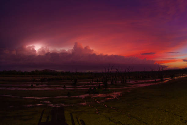 Sunset storm front lightening stock photo
