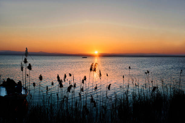 Sunset Valencia Sunset at the Albufera Lake near Valencia Spain albufera stock pictures, royalty-free photos & images