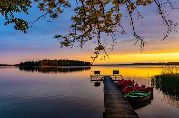 sunset view of jezioro selmet wielki lake in sedki village in masuria region of poland - roe deer bildbanksfoton och bilder