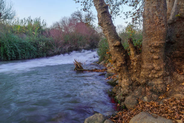 Sunset view of the origin point of the Jordan river stock photo