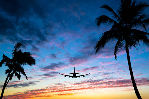 Sunset with silhouettes of palm trees on the sides of the photo and a flying airplane. Vacation, travel concept. stock photo