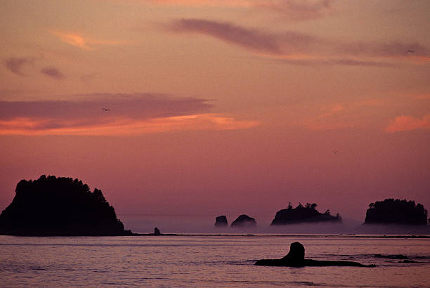 Sea Stacks in the Pacific Ocean at Sunset Sunsets over the Pacific Ocean can be colorful and spectacular. The rocky sea stacks make an interesting frame for the setting sun. This picture was taken at Sand Point in Olympic National Park, Washington State, USA. jeff goulden seascape stock pictures, royalty-free photos & images