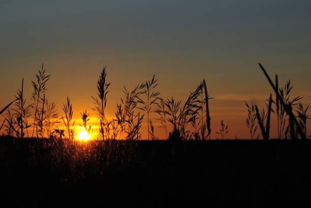 Sunsetting Over the Horizon  on the Prairie Landscape stock photo