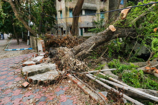 Super cyclone Amphan caused devastation, West Bengal, India stock photo