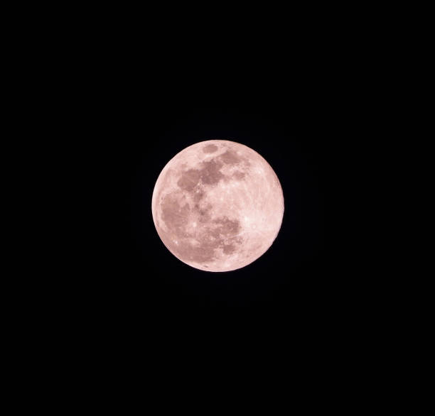 super pink moon - supermoon imagens e fotografias de stock