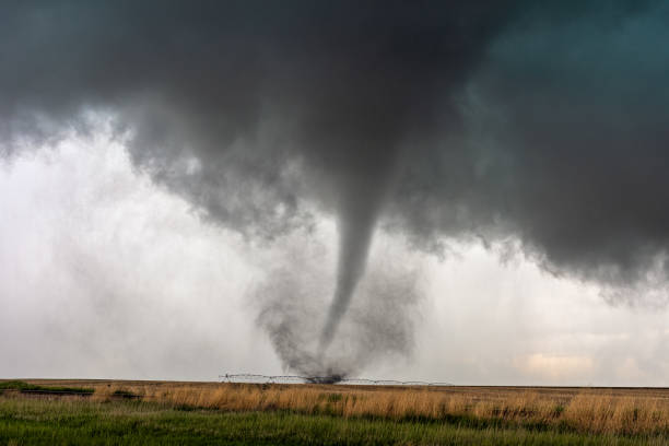Supercell tornado A tornado spins in a field beneath a supercell thunderstorm during a severe weather event in Selden, Kansas. extreme weather stock pictures, royalty-free photos & images