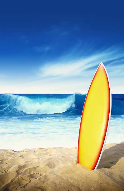Surfboards Beach Stock Photos, Pictures & Royalty-Free Images - iStock