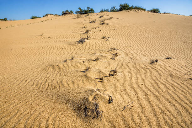 Surface of sandy desert in sliding light stock photo