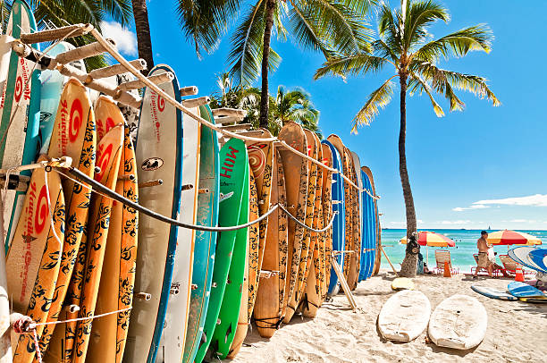 Surfboards at Waikiki Beach, Hawaii Honolulu, HI, USA - September 7, 2013: Surfboards lined up in the rack at famous Waikiki Beach in Honolulu. Oahu, Hawaii. hawaii islands stock pictures, royalty-free photos & images
