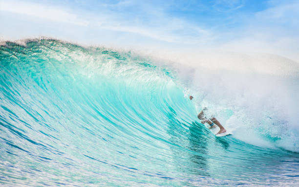 Surfer in a clean barrel stock photo