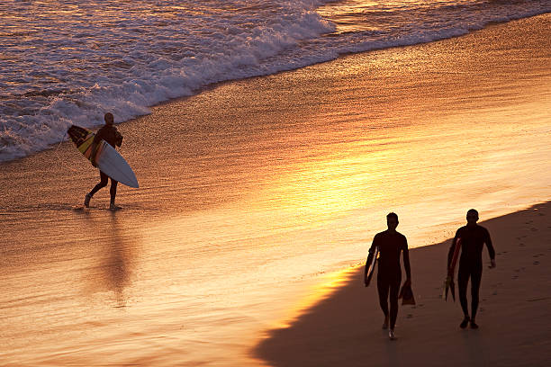 Surfers at Dusk stock photo