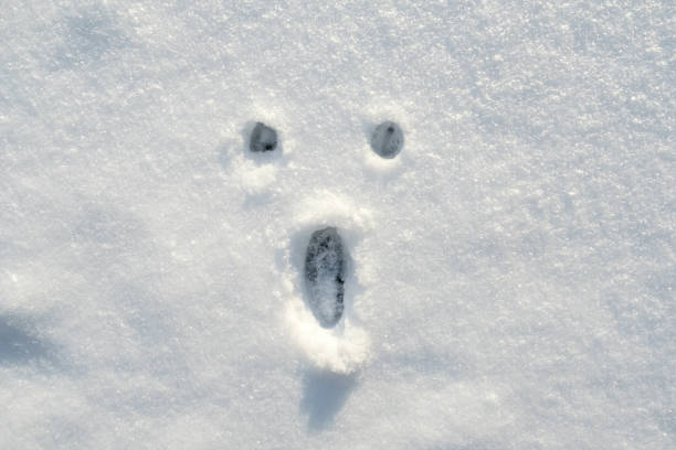 A surprised smiley face painted on the snow, on a sunny winter day. Copy space. stock photo
