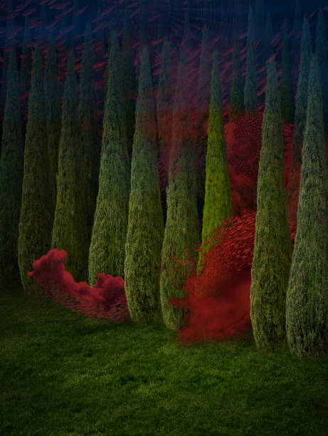 Surreal cypress forest stock photo
