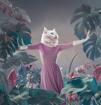 Surreal portrait of white cat