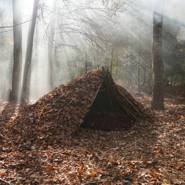 Survival Shelter Debris hut in the wilderness. Bushcraft camp setup in the forest. Survival Shelter Debris hut in the wilderness. Bushcraft camp setup in the forest. bushcraft stock pictures, royalty-free photos & images