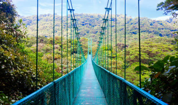 Suspension bridge in rain forest, Costa Rica View of pedestrian suspension bridge in the jungles of Costa Rica. monteverde stock pictures, royalty-free photos & images